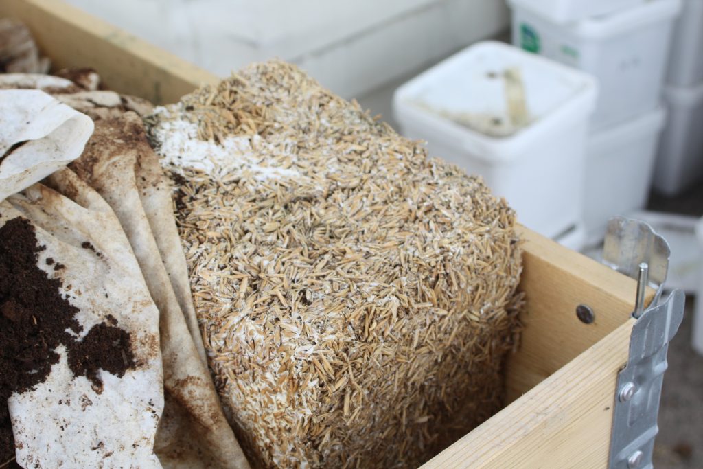 The best mulch ever: Spent Mushroom Substrate - Helsieni
